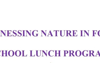 school lunch program